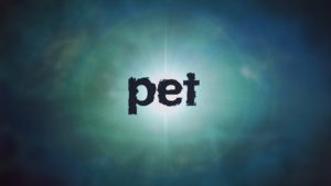 Pet
